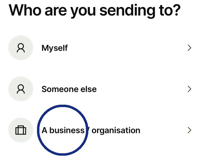wise payment